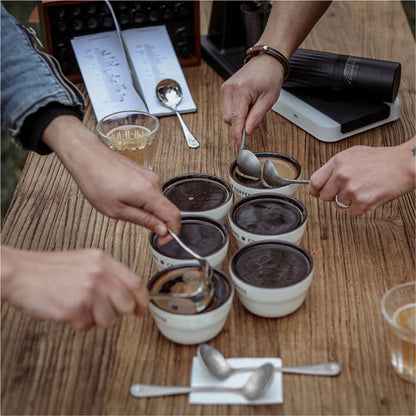 MHW-3BOMBER Long Handle Coffee Cupping Spoon [CS5451SS]